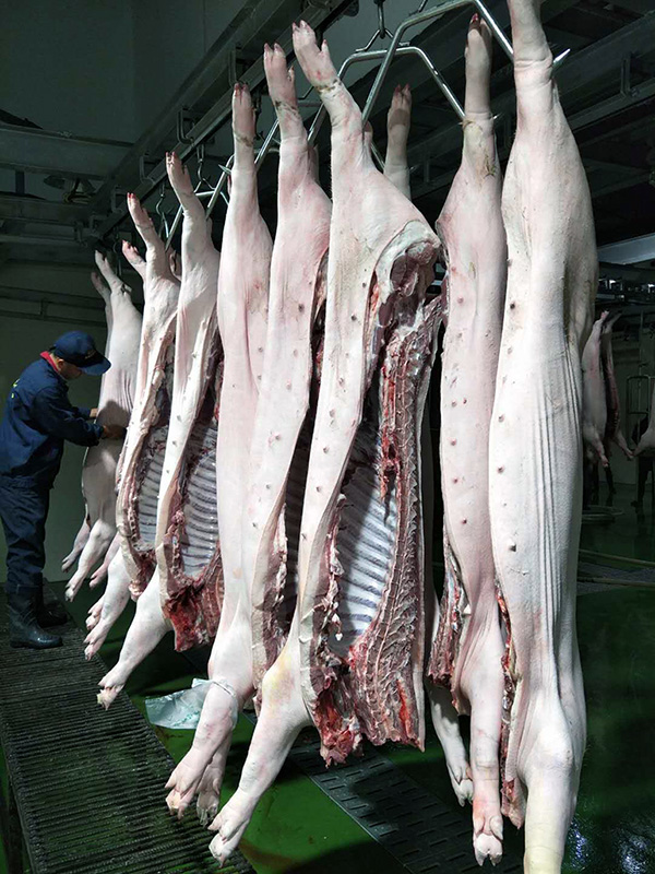 �ʰ�����